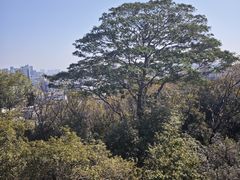 -佛山华盖山公园