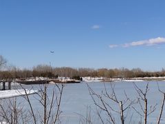 -东郊湿地公园