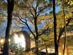 -巴倒烫陆派重庆火锅(南山店)