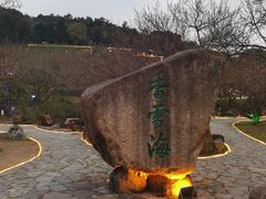 -香雪海