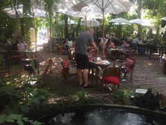 -Fern Forest Cafe