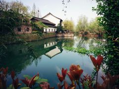 -西溪国家湿地公园