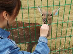 -千年银杏谷文化旅游区