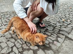 -汇龙潭