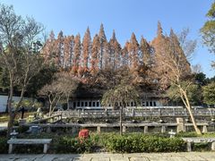 -苏州文庙(姑苏区)