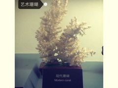 地质博物馆-甘肃地质博物馆