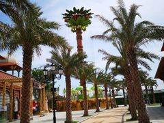 -三亚海昌梦幻海洋不夜城