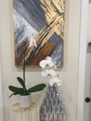 -海涛医疗美容·面部抗衰·注射美鼻