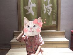 -成都蓝城悦杏温泉美食酒店(宽窄巷子店)