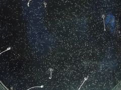 -青岛海底世界-水族馆