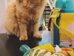 -猫小院猫主题咖啡厅(北锣店)