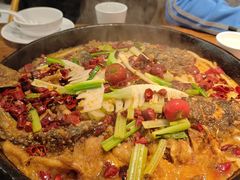 -老板恋上鱼(印象城店)