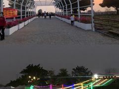 -长洲岛都市农业公园