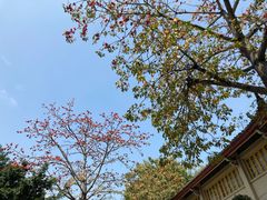 -南普陀寺