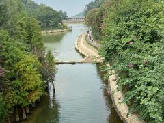 -广州市帽峰山景区
