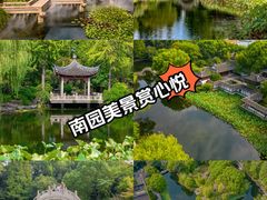 -南园(太仓市)