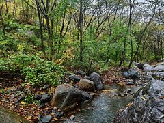 -云岫谷游猎自然风景区