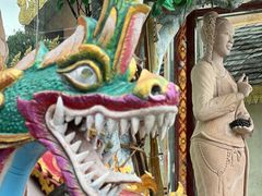 -西双版纳原始森林公园