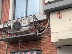 -邓氏兔头