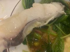 -正能量脆肉鲩火锅