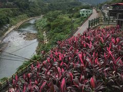 -平溪村
