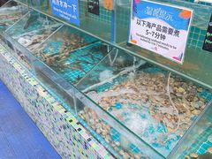 -渔家火锅·海鲜自助餐·演艺(亚龙湾天域酒店)