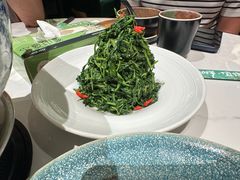 红果枸杞苗-清真·宁夏印象·盐池滩羊肉体验店(江宁路店)