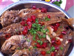 大盘小黄鱼-九尊食上(生态园林酒店)
