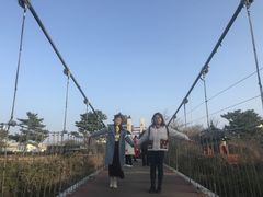 -雪绿茶博物馆