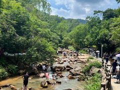 -广州白江湖森林公园