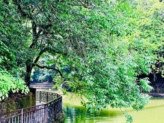 -云南屏边大围山国家公园