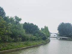 -同里国家湿地公园
