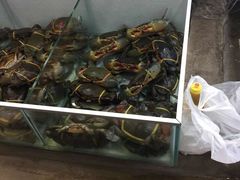 -拉威海鲜市场
