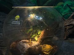 -上海海洋水族馆