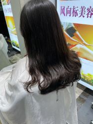 -风向标WIND VANE SALON