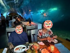 -海棠湾洲际-涛·海底餐厅·龙虾牛排·美人鱼