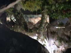 -苏州海洋馆