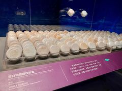 -中国（海南）南海博物馆