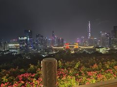 -莲花山公园