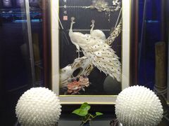 -贝壳梦幻世界