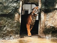 -南昌动物园