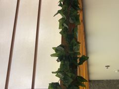 -桃夭日式料理(国信店)