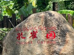 -西双版纳傣族园