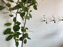-喜茶(东莞厚街万达店)