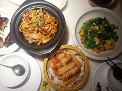 -佬肥猫(国华广场店)