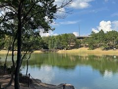 -南京市无想山景区