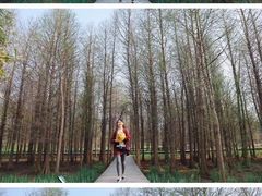 -溱湖国家湿地公园