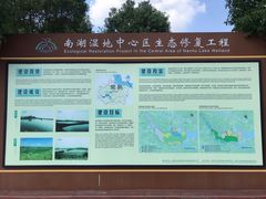 -南湖湿地公园
