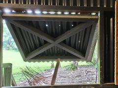 -热带雨林自然公园