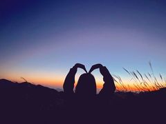 -萍乡武功山风景名胜区